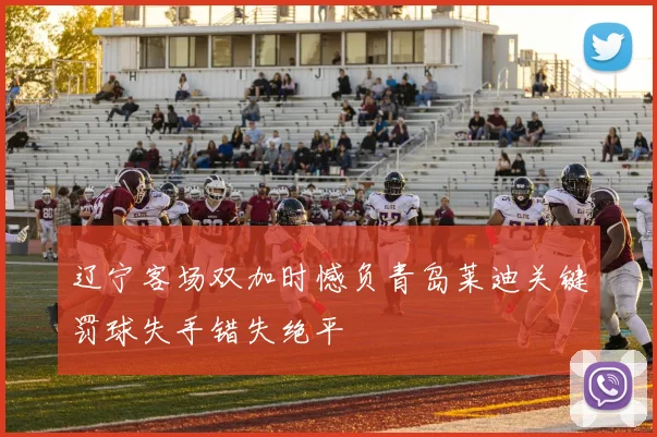 辽宁客场双加时憾负青岛莱迪关键罚球失手错失绝平